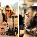 Realiza Ayuntamiento de Guaymas “Feria de emprendimiento” e instalación de “Módulo de adopción canina”.