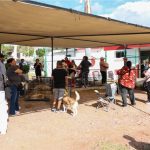 Realiza el Ayuntamiento de Guaymas Jornada de esterilización