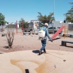 Atiende Ayuntamiento de Guaymas reportes vecinales con jornada de fumigación en Pradera Dorada