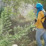 Ayuntamiento de Guaymas inicia jornada de limpieza integral y rehabilitación urbana en la colonia Las Palmas